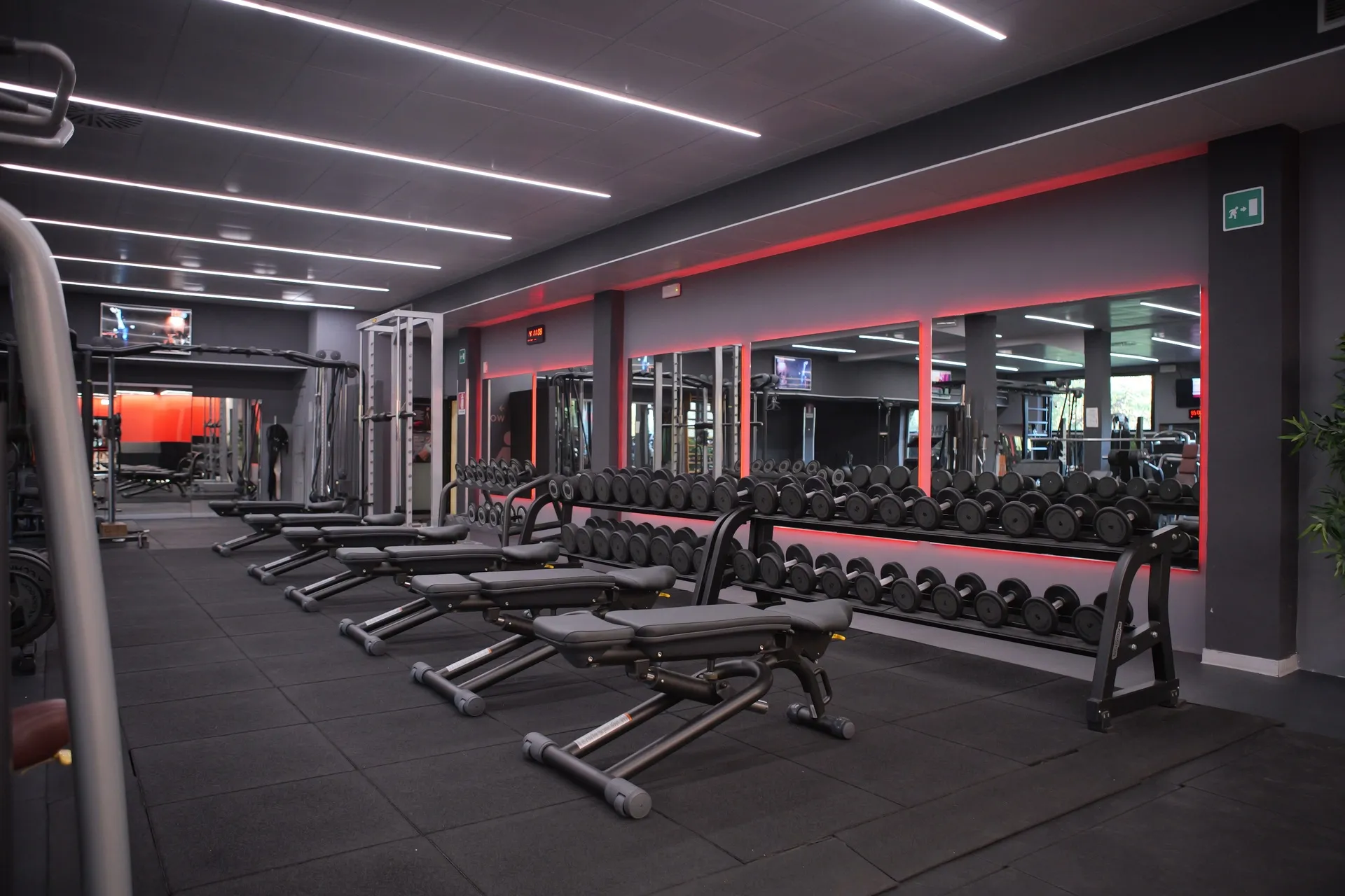 Palestra President